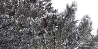 Прикрепленное изображение: IMG_20190107_115207.jpg